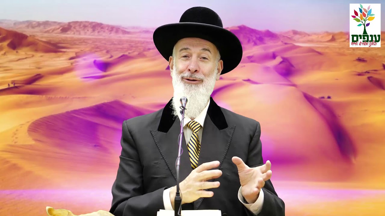פרשת במדבר: כולנו אחים - הרב יונה מצגר HD - מדהים!