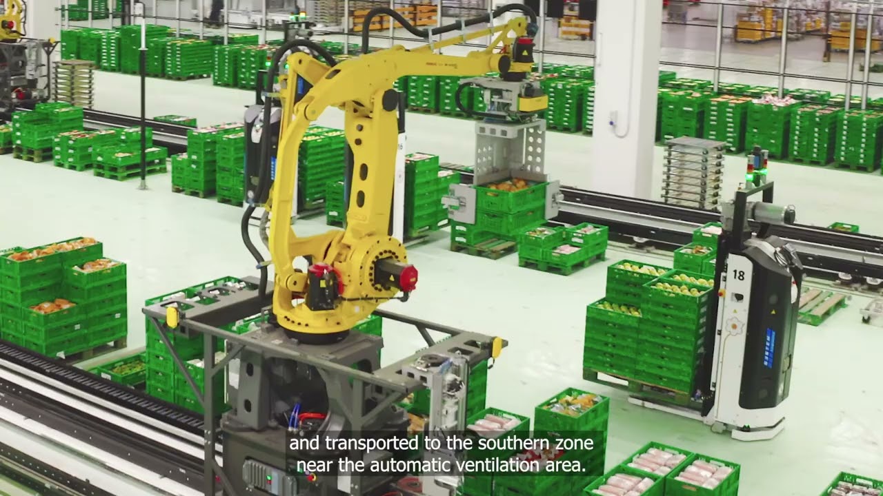 System Logistics for Conad Nord Ovest