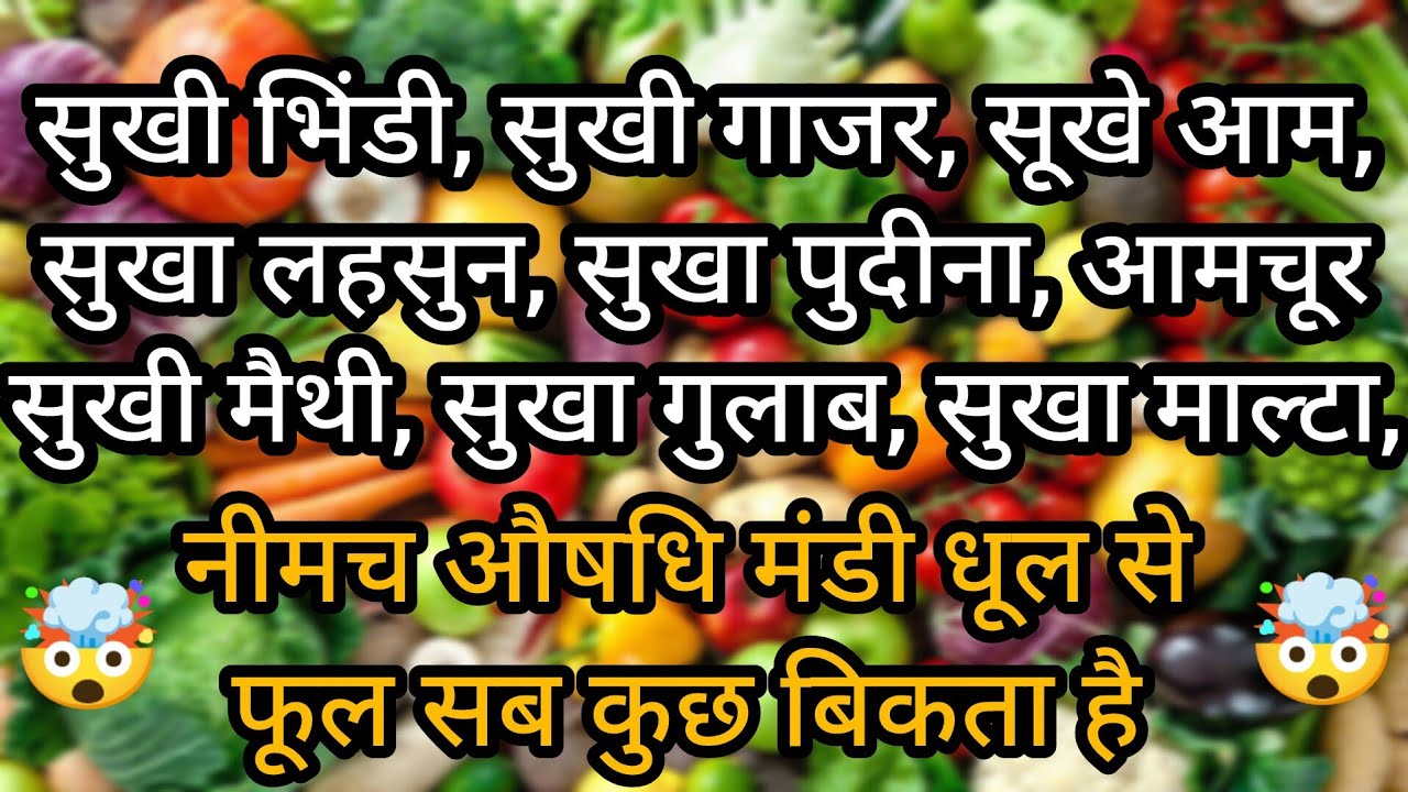 भिंडी, गाजर,आम, पुदीना, धनिया पत्ती, सुखा लहसुन सब कुछ बिकेगा नीमच औषधि मंडी में 🤯🤯।। नीमच मंडी भाव