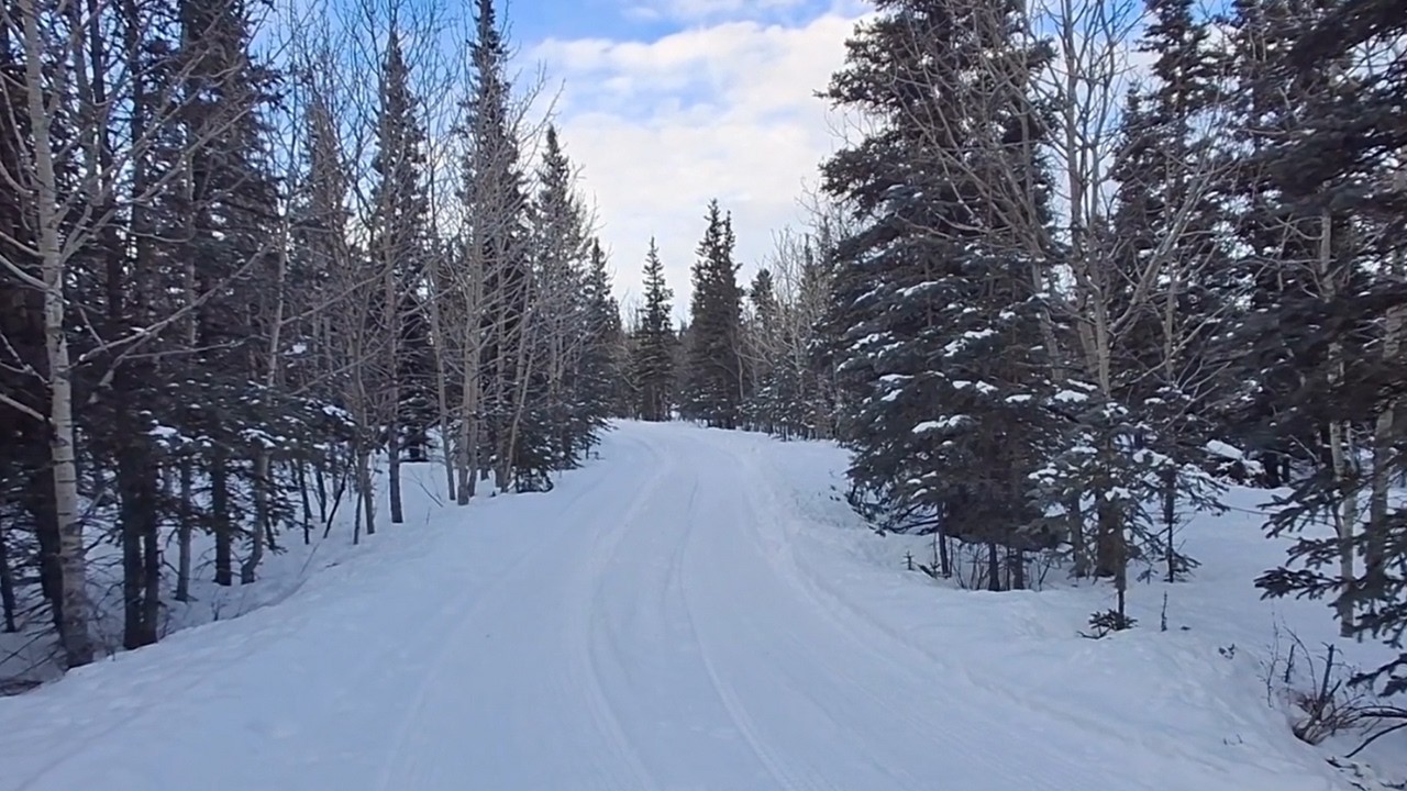 Fuel Tank, Moose Tracks and Snow