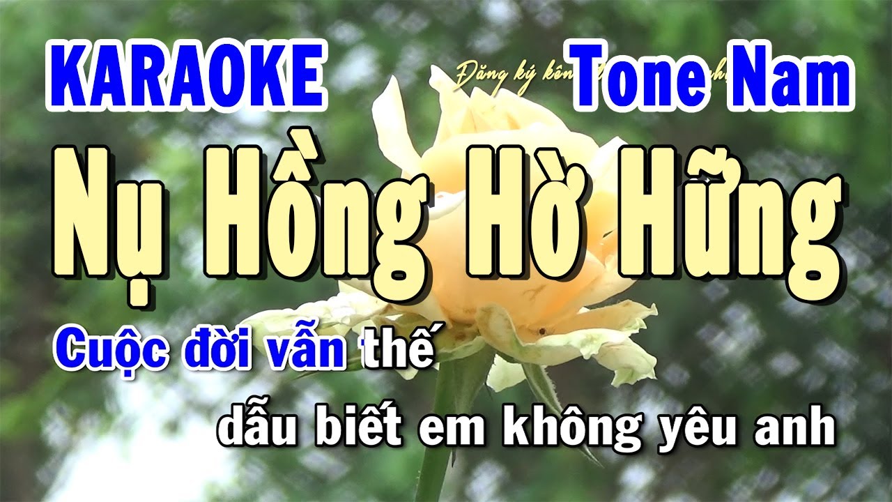 Nụ Hồng Hờ Hững Karaoke Tone Nam | Karaoke Hiền Phương