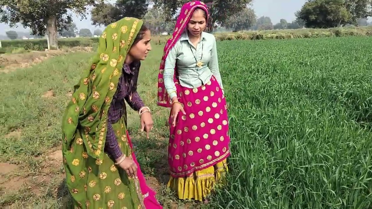 डोकरी ने किया बहू को परेशान #youtubevideo #yiutubetrending #youcomedy 