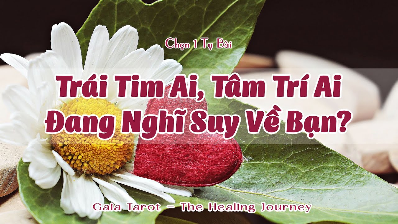 Trái Tim Ai, Tâm Trí Ai Đang Nghĩ Suy Về Bạn?