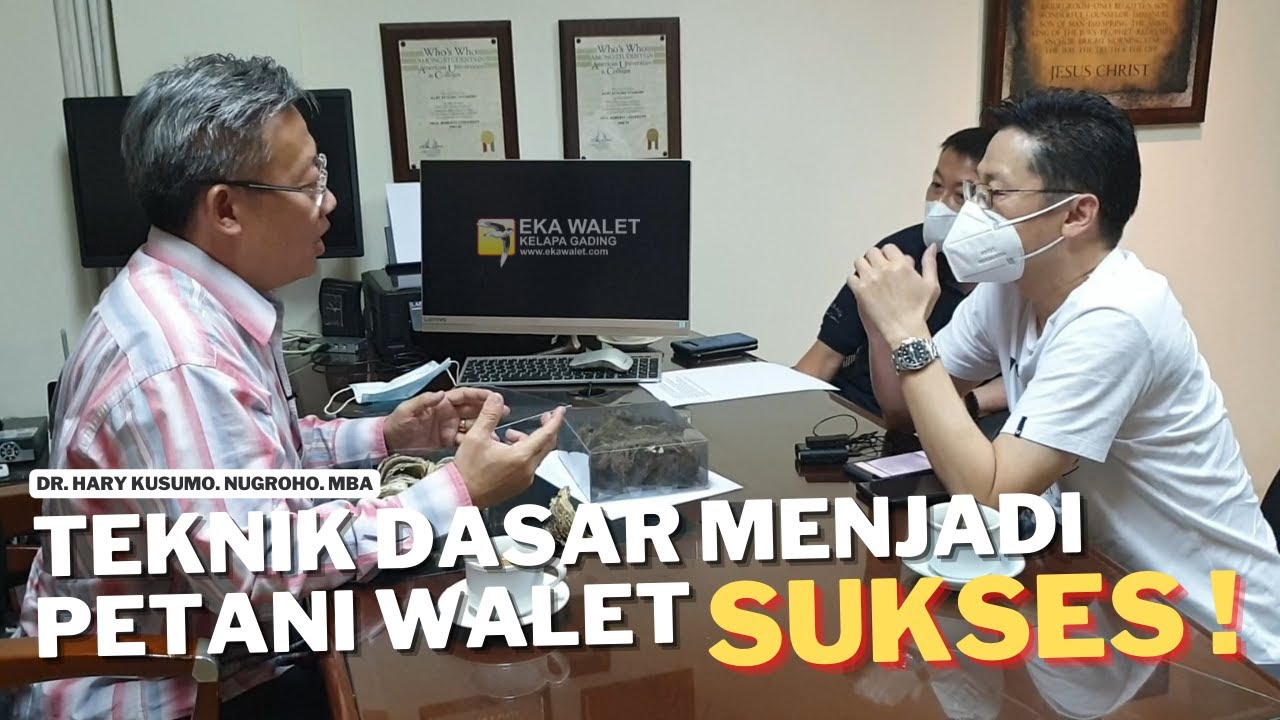 Teknik dasar menjadi petani walet SUKSES!