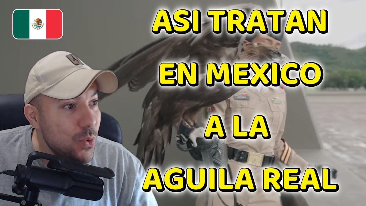 ASI TRATAN AL AGUILA REAL EN MEXICO