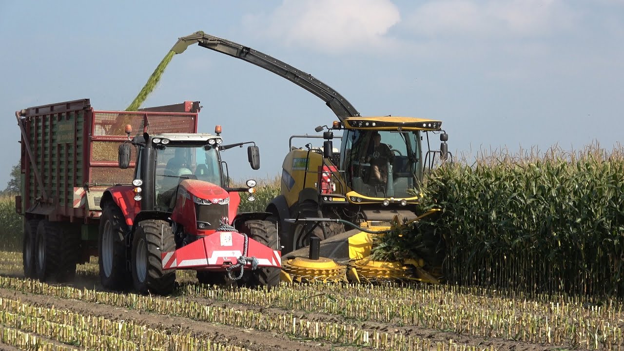 Mais hakselen door loonbedrijf Rensen met New Holland FR 550 en Massey Ferguson trekkers (2020)