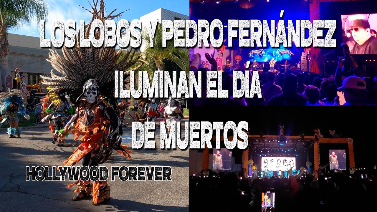 Día de Muertos en Hollywood Forever: Los Lobos y Pedro Fernández