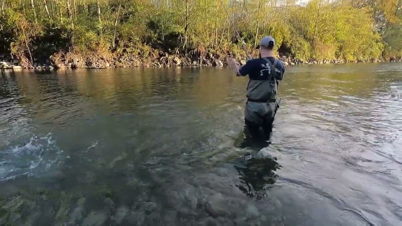 fishing a new spot and caught a massive chinook (Vedder river)