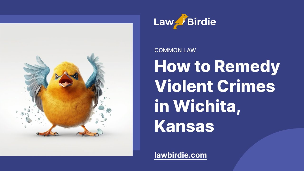 How to Remedy Violent Crimes in Wichita, Kansas - Essay Example