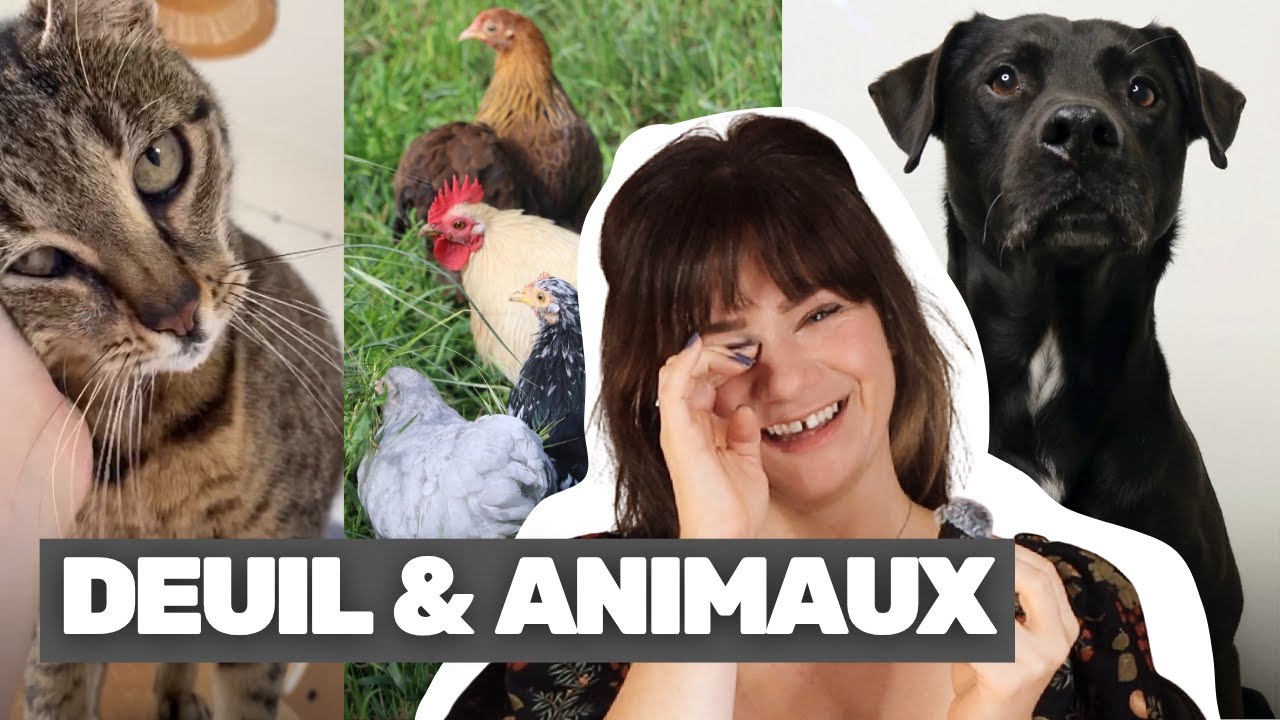 Faire le deuil de ses animaux
