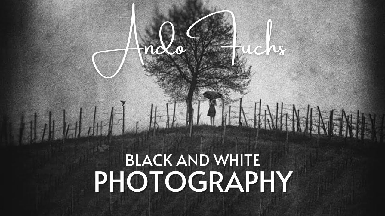 Black and White Photography - 