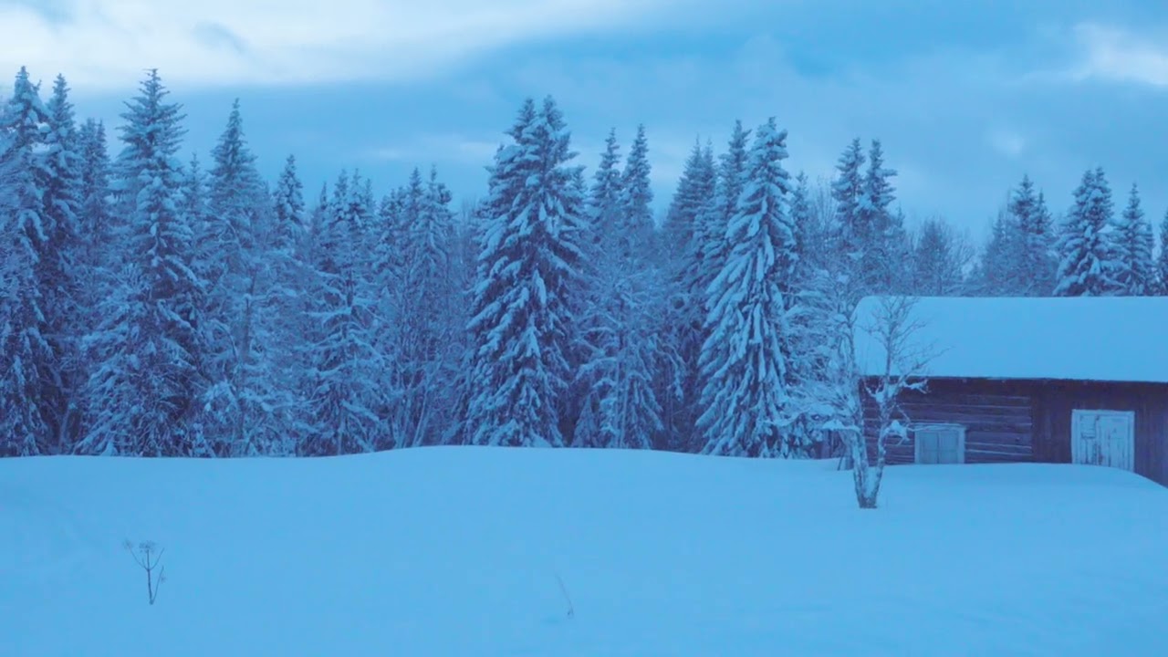 Harrvik, Storberg, Harrsjö Vinter 2025