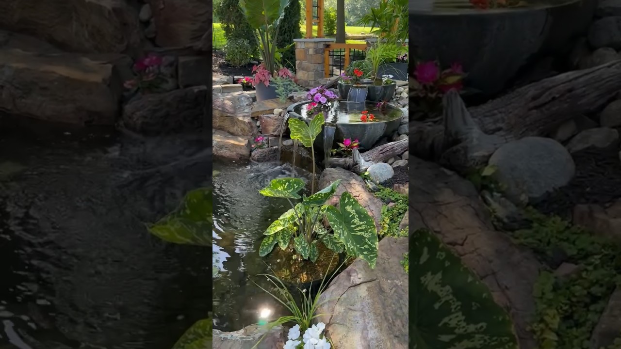 The perfect reflection GARDEN #reflection #garden #livingtheaquascapelifestyle
