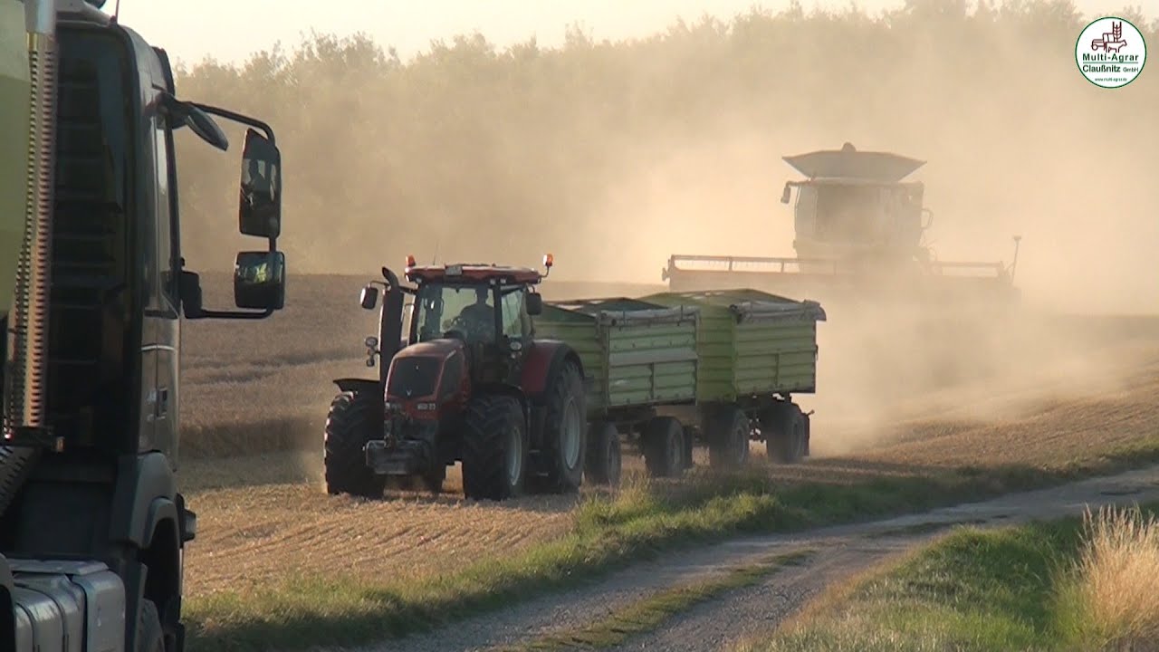 Weizen und Gerste Ernte - Claas, JCB, John Deere, Fendt, Valtra, Volvo - Multi Agrar Claußnitz