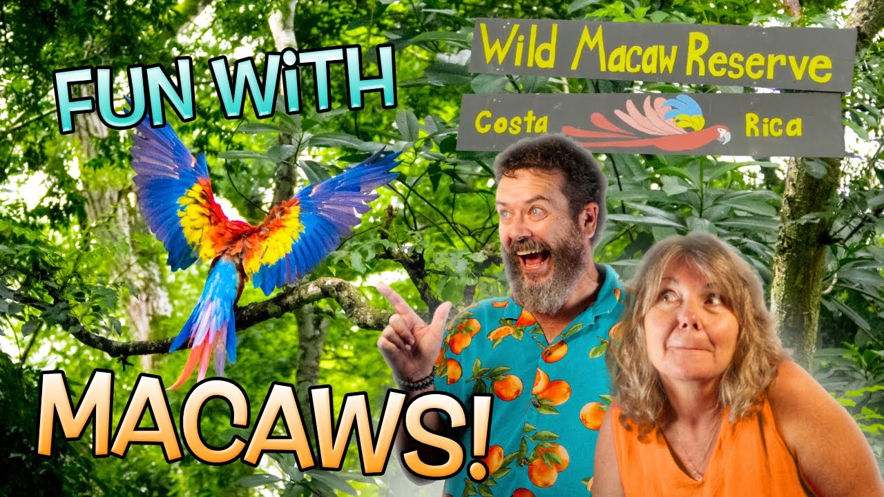 Saving Costa Rica's Macaws: A Tour of the Macaw Recovery Network Sanctuary