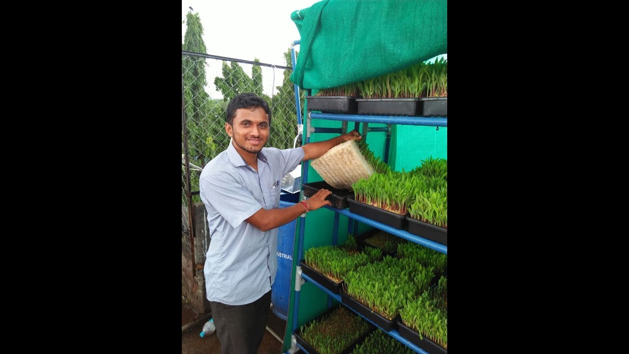Vishal Mane From Jagadamb Hydroponic System विशाल माने फ्रॉम जगदंब हायड्रोपोनिक  सिस्टिम