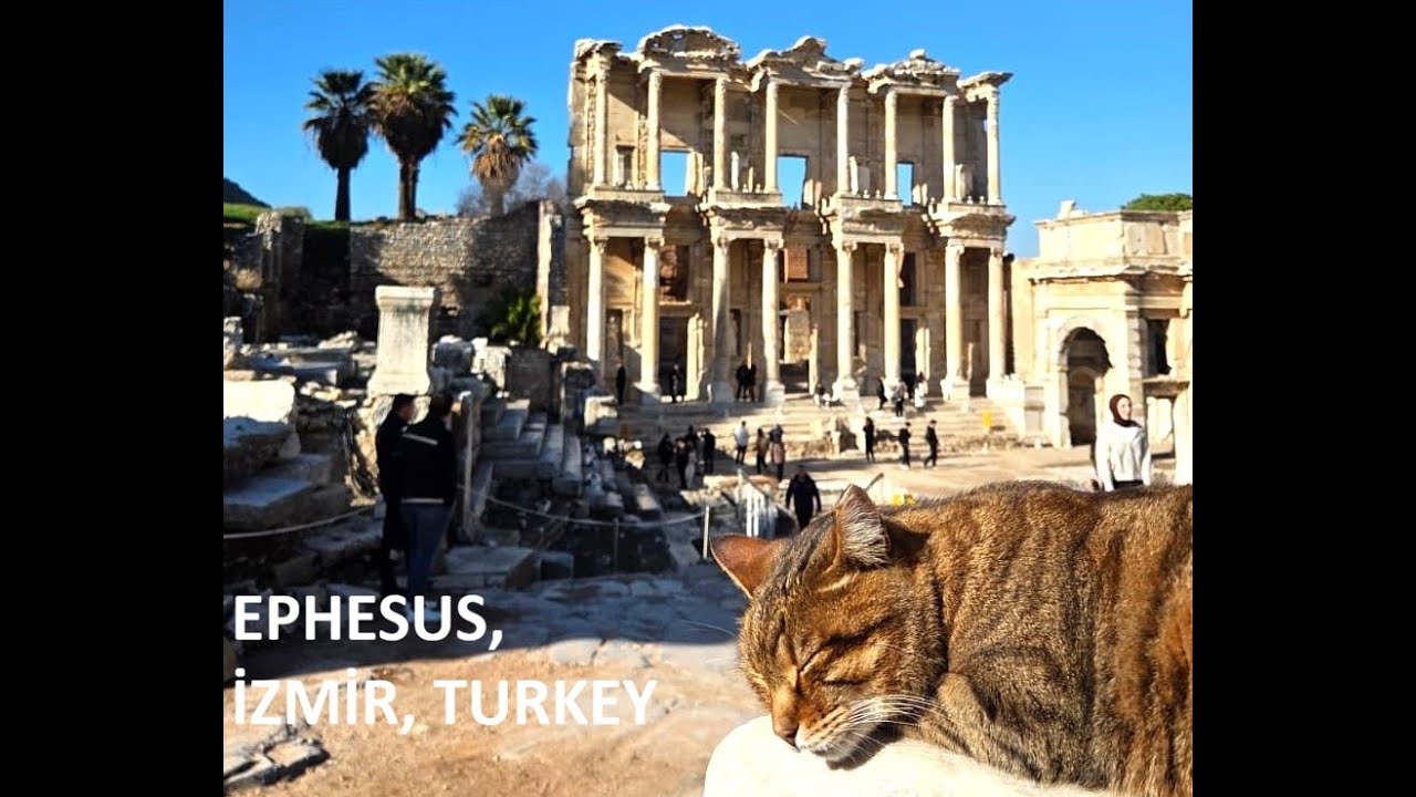 Ephesus, Turkey: Ancient City Tour | İzmir, Turkey #ephesus #efes #travel #vlog