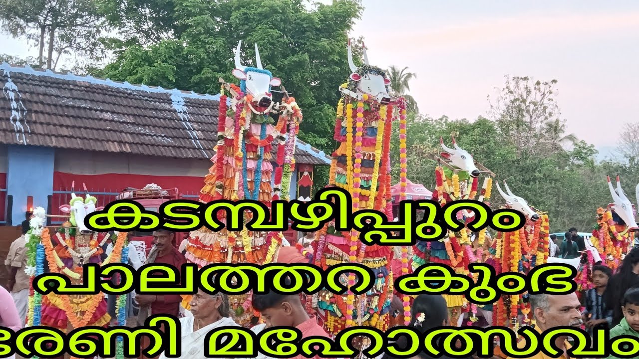 കടമ്പഴിപ്പുറം പാലത്തറ കുംഭ ഭരണി മഹോത്സവം2024 | Kadambazhipuram Palathara Bharani Maholsavam