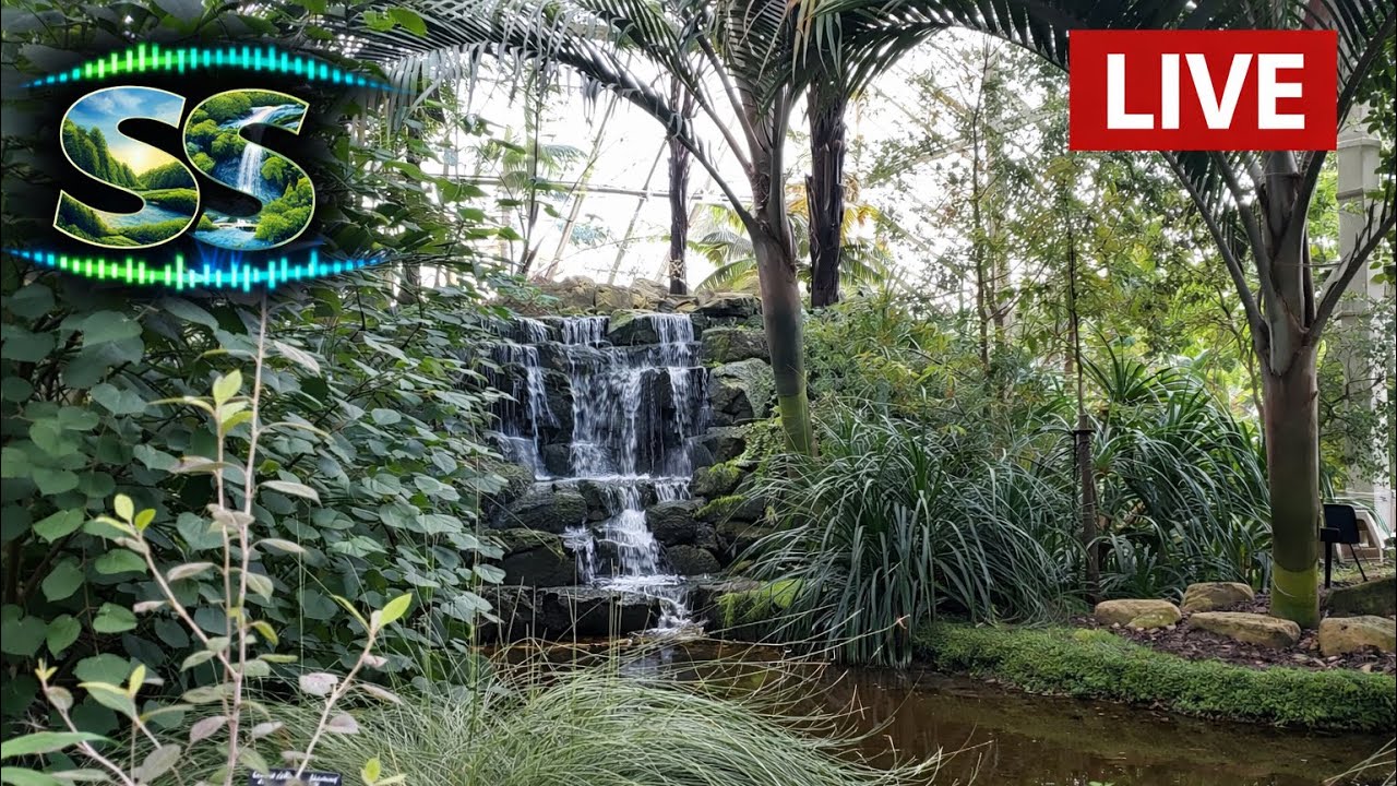 Surrounding Sounds - Kew Gardens Waterfall (Kew) #calm #waterfall #kewgardens #watersounds 
