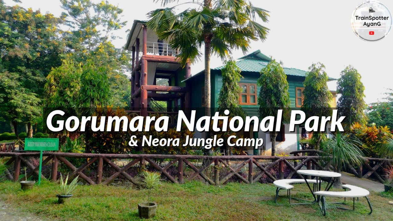 Gorumara National Park | Neora Jungle Camp : Govt. tourist lodge at GNP