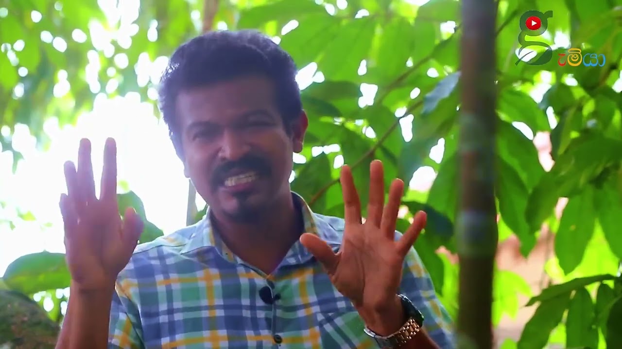 විනාඩි 5න් මයිටාවො, කූඩිත්තො, පිටිමකුණො දලඹුවො එලවන මුලුතැන්ගෙයි මැජික් හැන්ද .