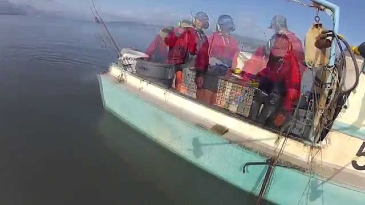 Commercial Halibut 2012