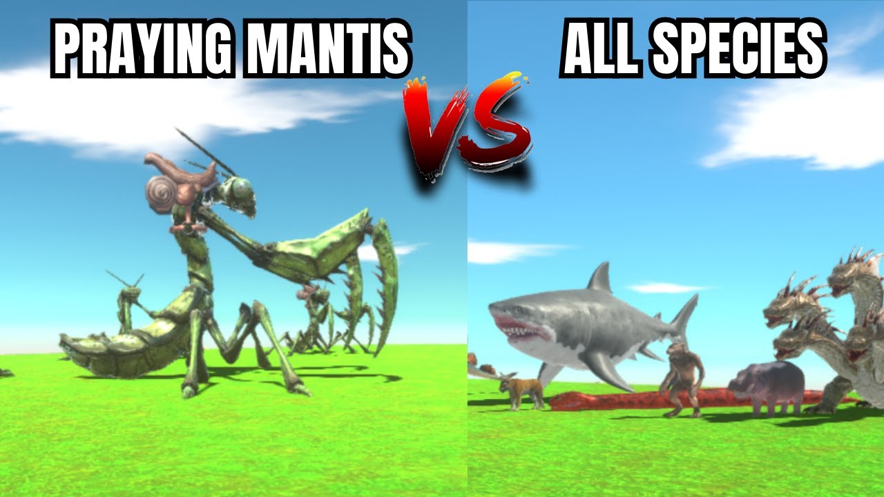 Praying Mantis VS All Species FOREST WILL NEVER FORGET - Animal Revolt Battle Simulator