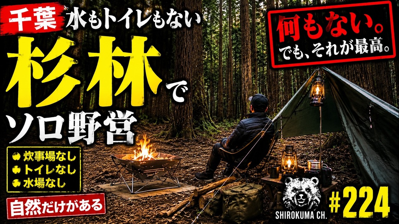 【千葉・野営地①】「奥米・木村農園キャンプ場」杉林サイト 2026年2月 #224 HD 1080p
