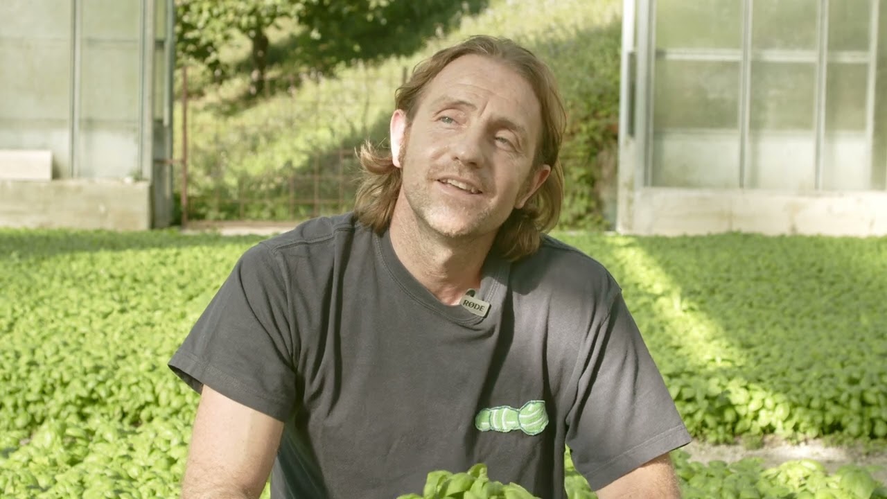 IL FATTORE UMANO DEL BASILICO GENOVESE DOP: TAPPA DI SERRA RICCO' (GE) CON DIEGO