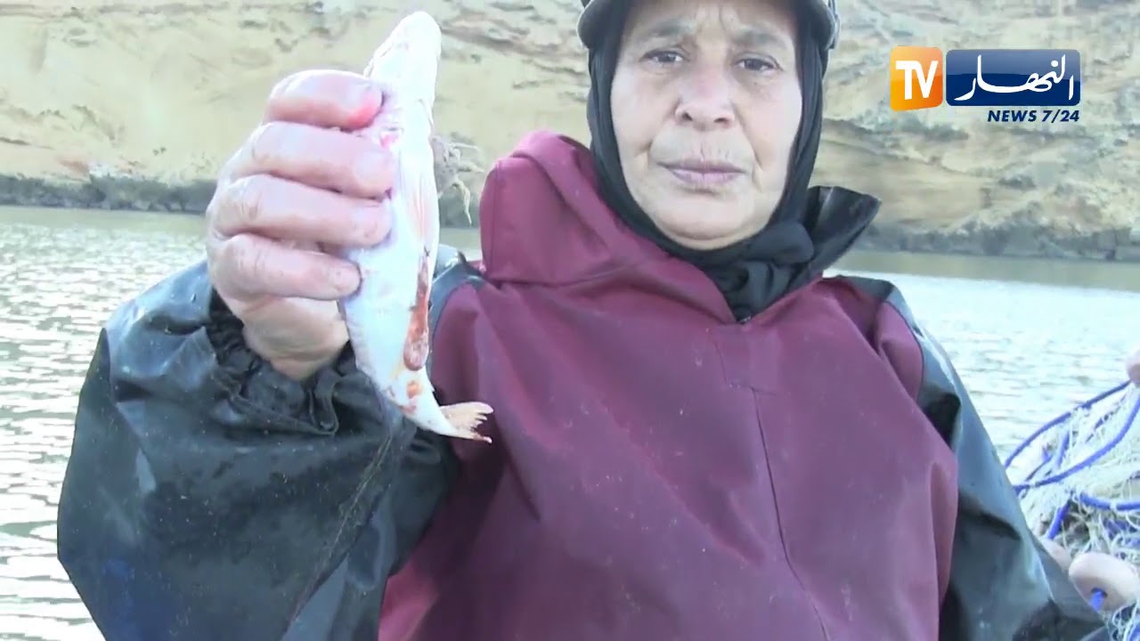 عين تموشنت: خالتي  يمينة..  بحارة تسترزق من صيد السمك على قارب تقليدي