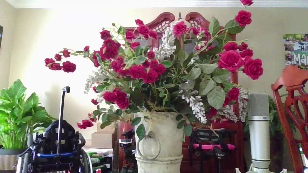 Welcome New Year 2026 | Silent LS | Live Streaming Love Each Other | Banana & WH 2026 | God is good