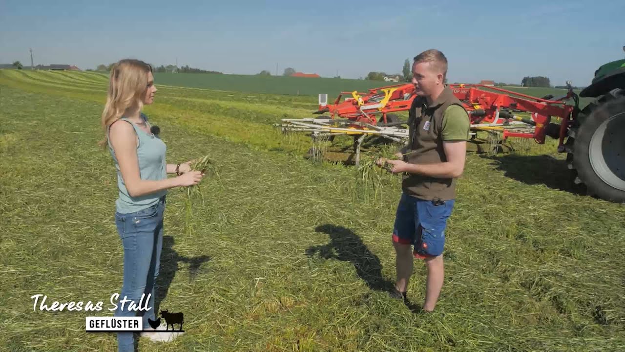Gras silieren: „Wiesen-Jaguar“ produziert Rinderfutter