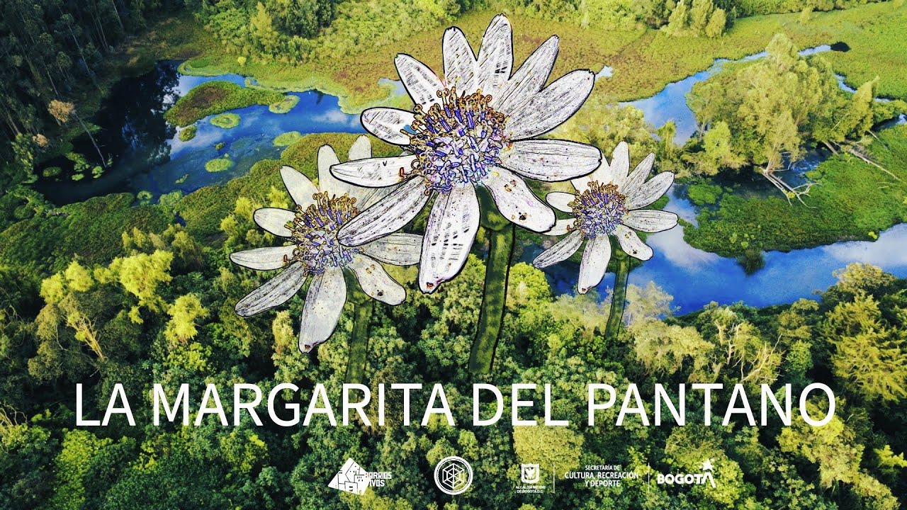La Flor que Resiste - La Margarita del Pantano