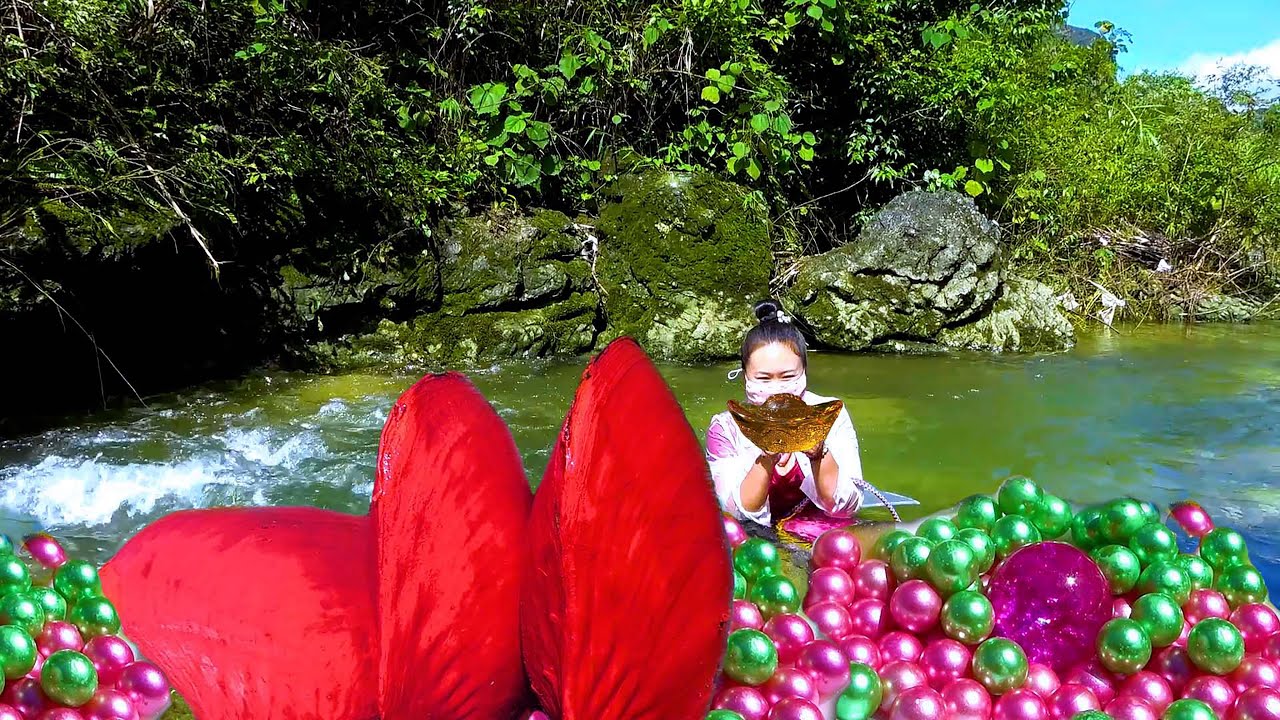 😱The giant red clam on the high mountain nurtures charming and dazzling pearls, breathtaking beauty