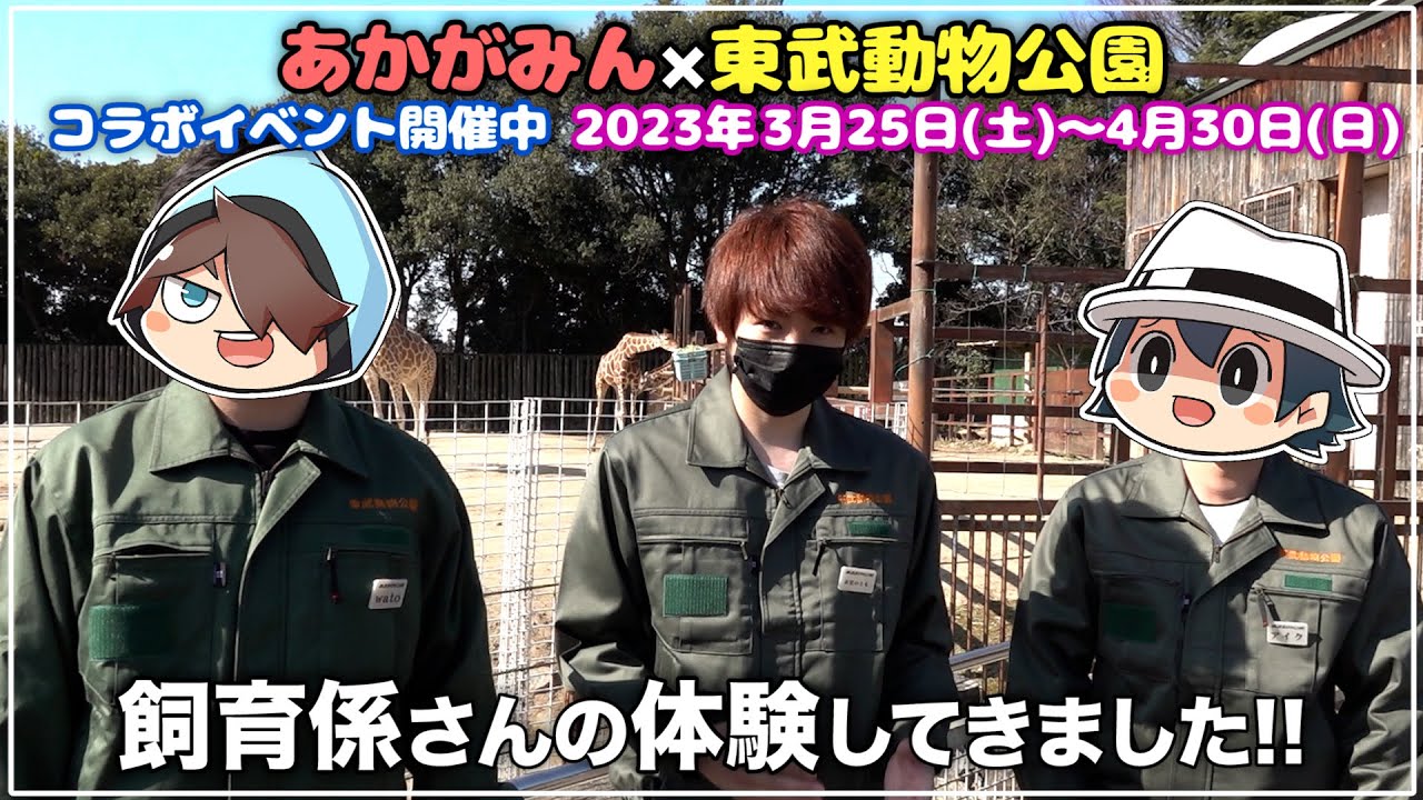 あかがみん、東武動物公園で飼育員さんになる!!【赤髪のとも】