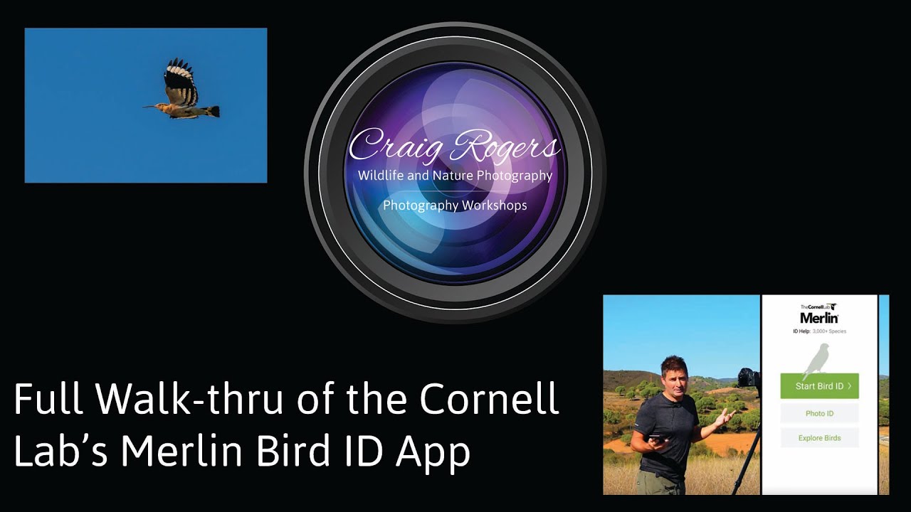 Full Walk-thru of the Merlin Bird ID App by Cornell Lab
