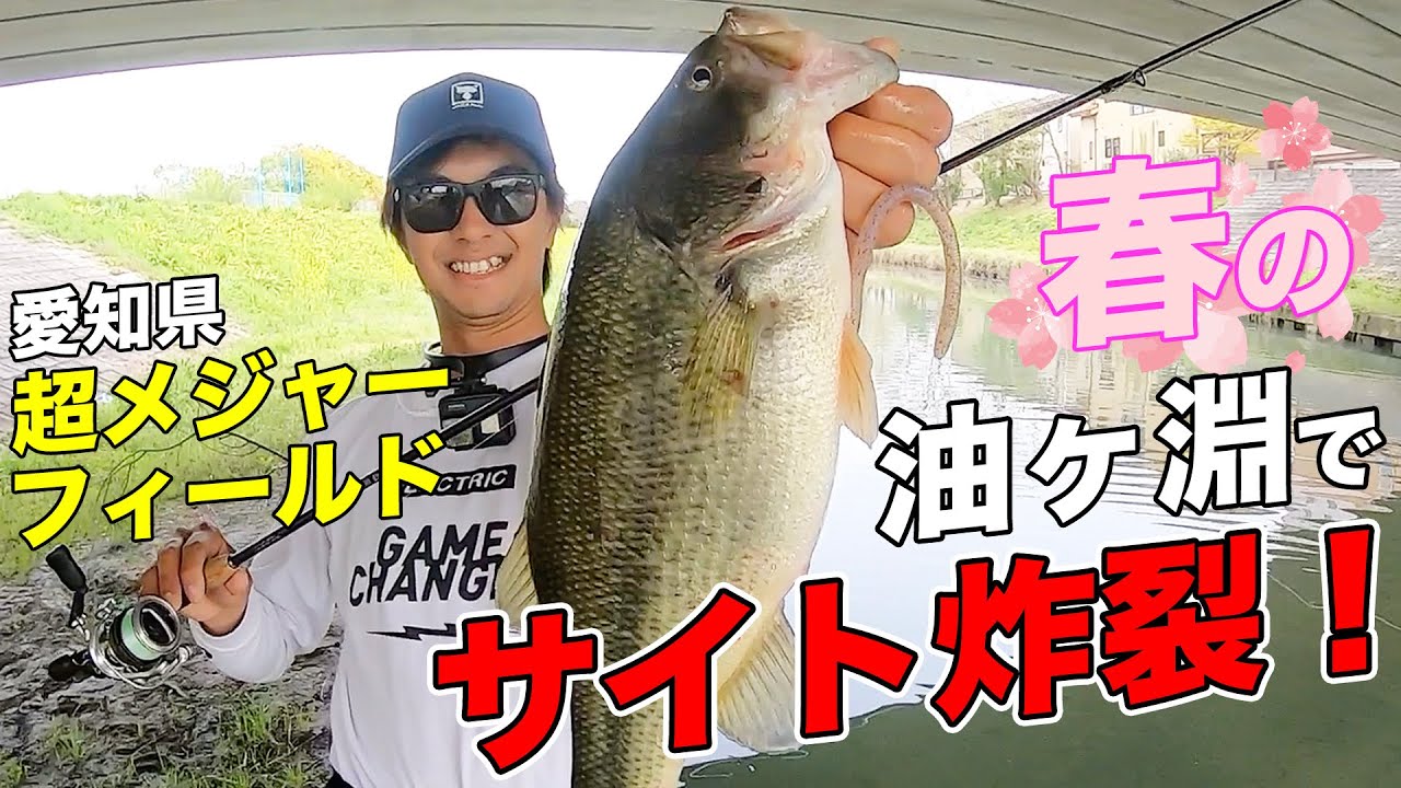 油ヶ淵で怒涛の連発！そのパターンとは？