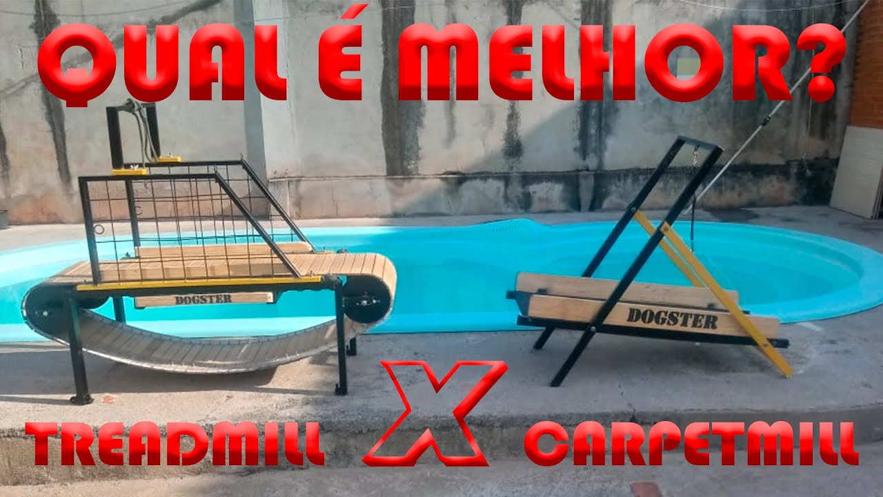 COMO TREINAR PIT BULL - TREADMILL X CARPETMILL