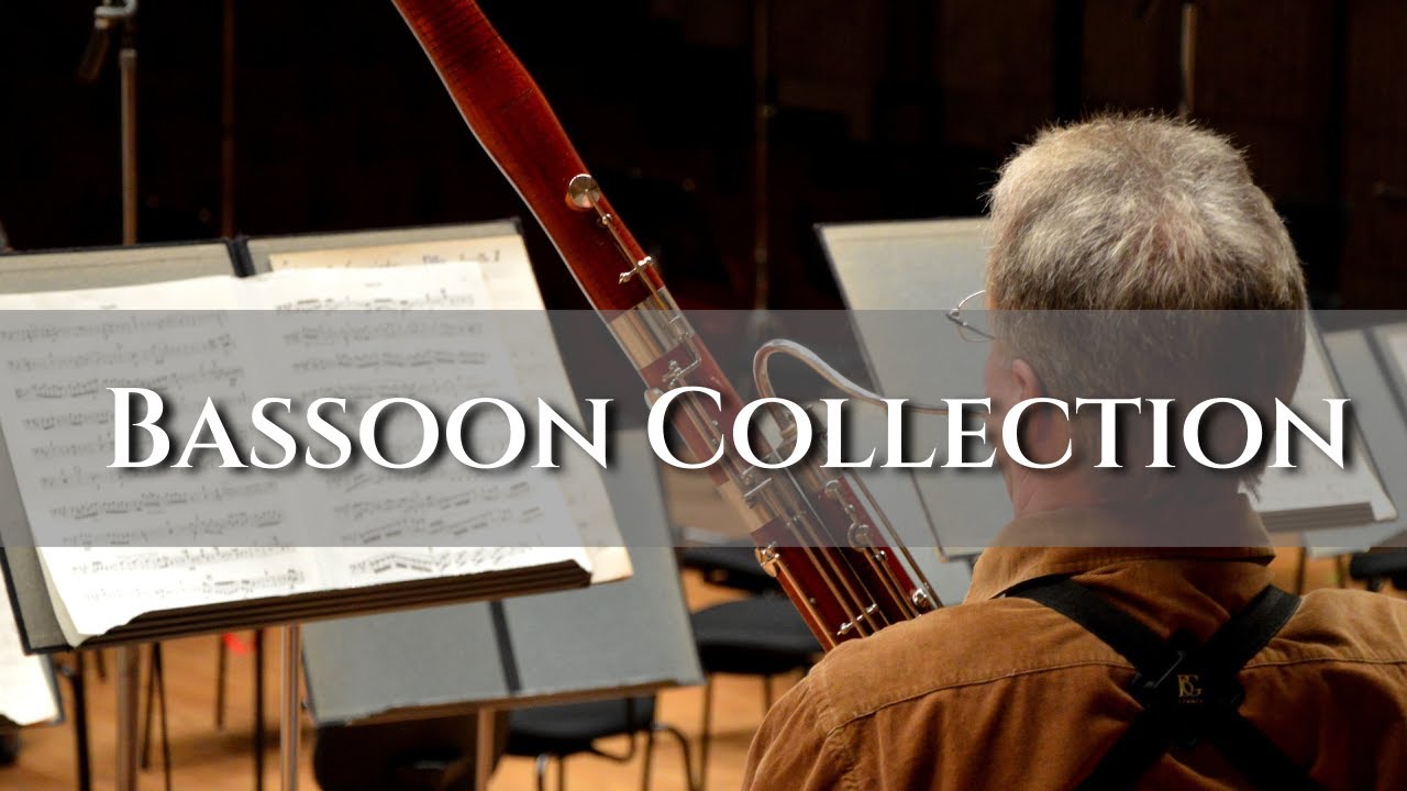 오케스트라의 인싸 바순 | 오케스트라 베이스 파트 바순 모음곡 | Bassoon Classical Music