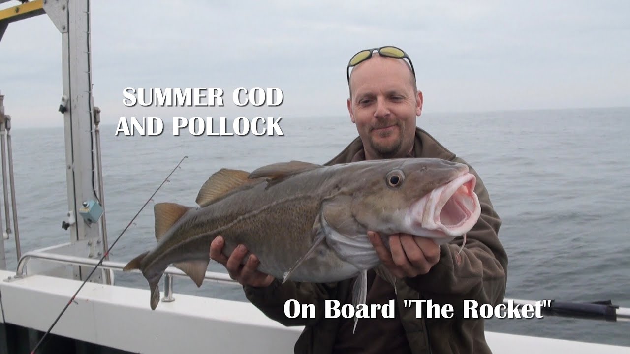 Summer Cod and Pollock fishing on board The Rocket Poole Dorset