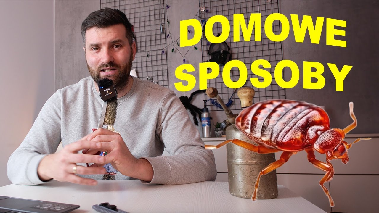 JAK POZBYĆ SIĘ PLUSKWY???  #pluskwy #zwalczanie #odpluskwianie