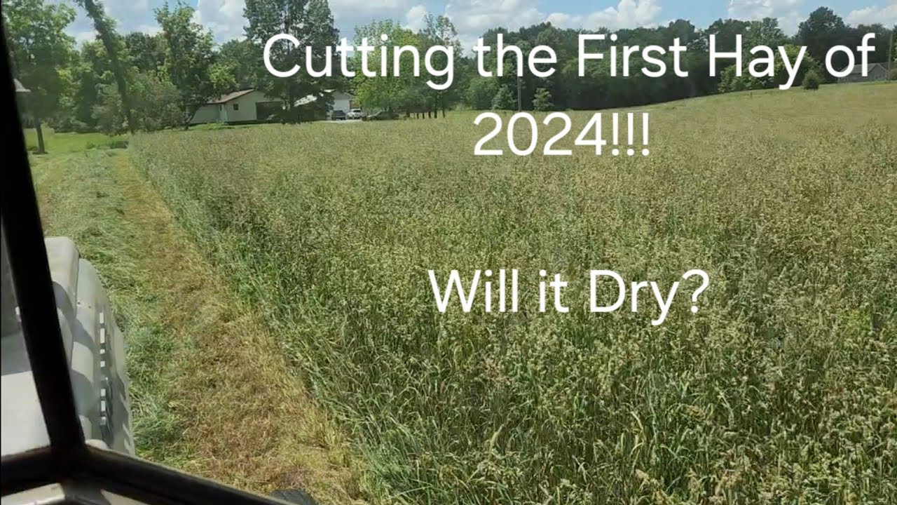 The First Hay of 2024