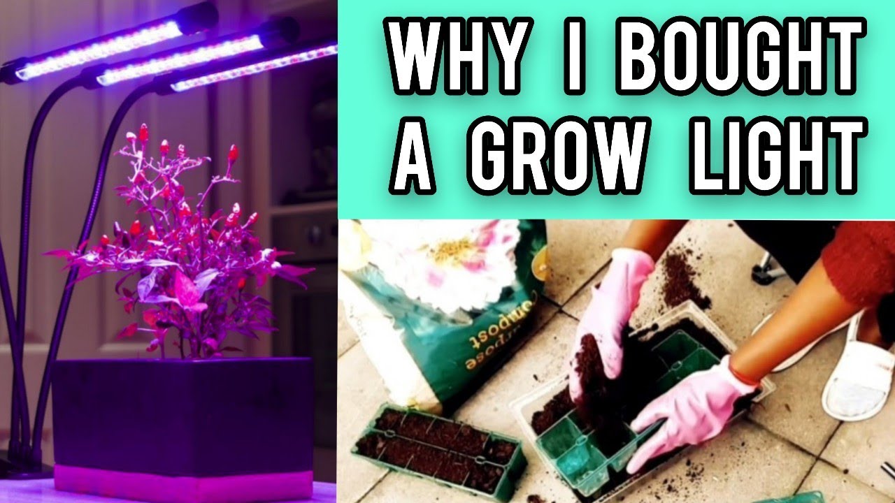 Grow Light for indoor Gardening