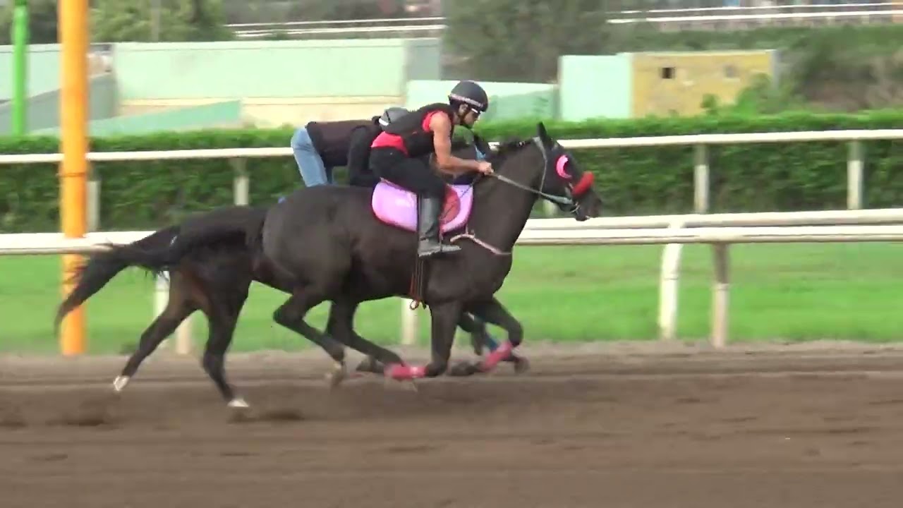 BURNING LOVE y TRANIELA 25Feb2026