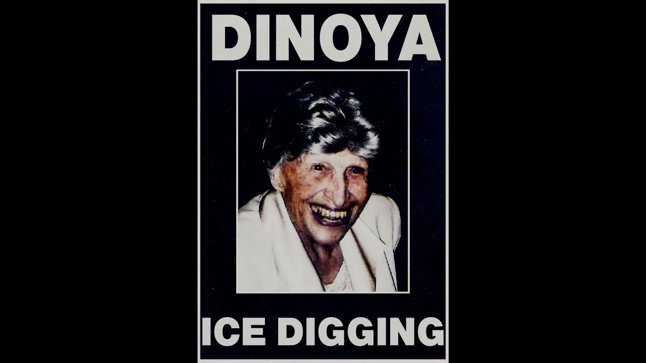DINOYA - ICE DIGGING ( Full album, Harsh Noise Wall )