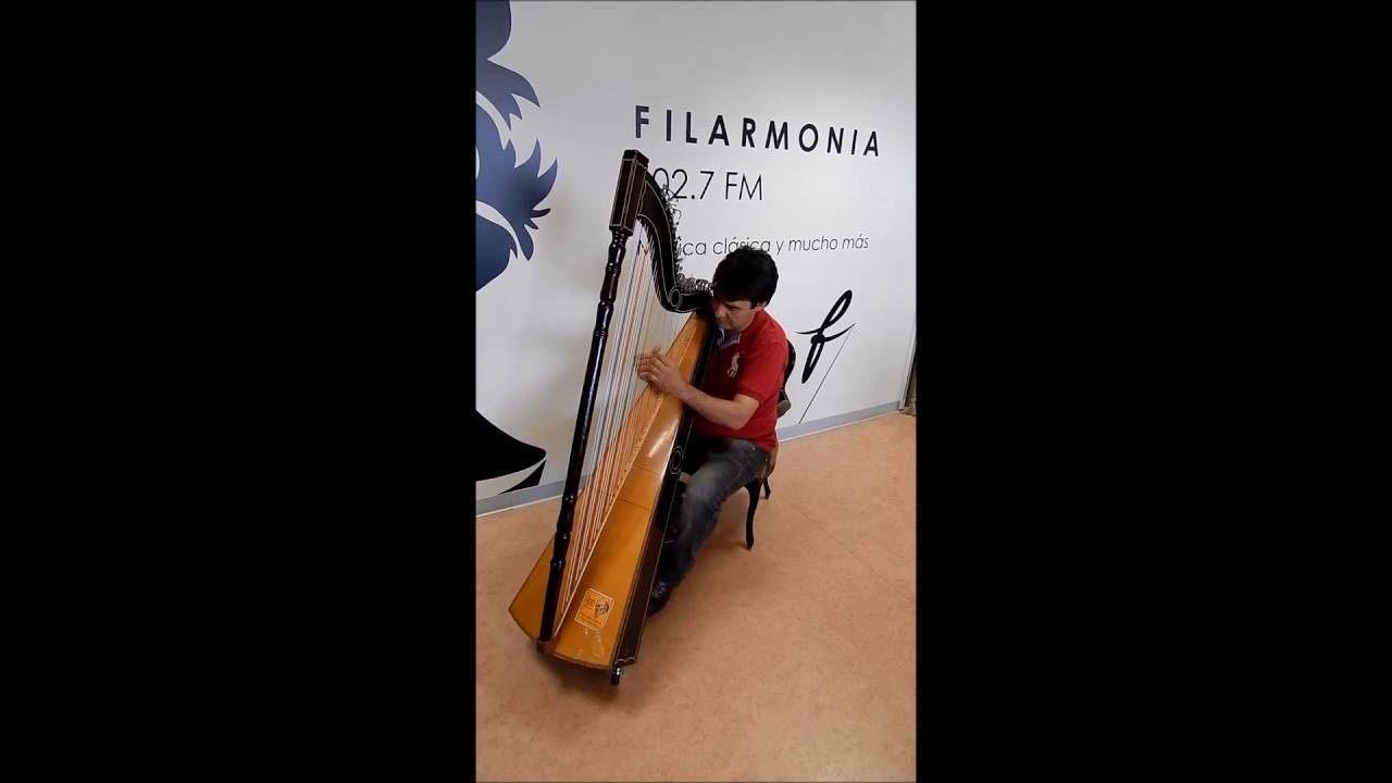 CONCIERTO DEL ARPISTA MARTIN PORTILLO