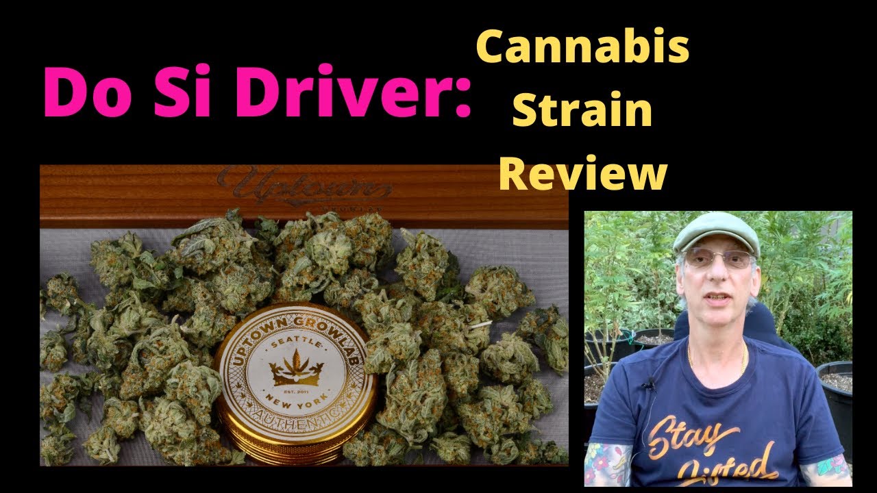 Do Si Driver Cannabis Strain Review
