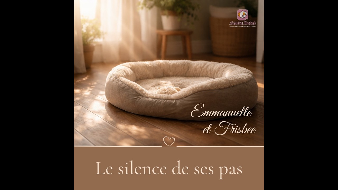 Le silence de ses pas - Emmanuelle Cloutier & Frisbee 🐶 - épisode 1