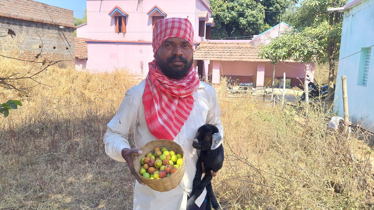 Garibo Ka Fal Khatta Mitha Bair Mere Goan Me | Rajshekhar Hembram Kelahi | Rsh Kelahi
