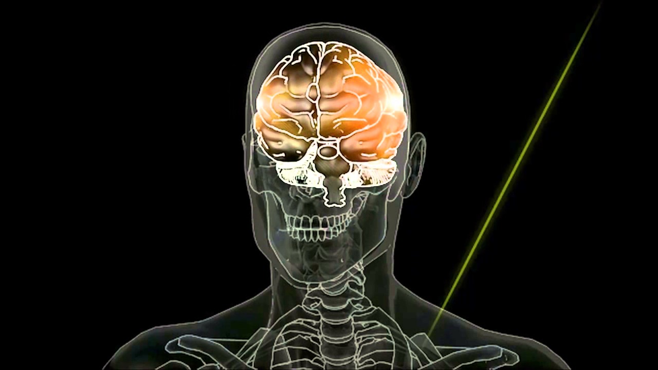 Roller Derby Safety Education: Concussions